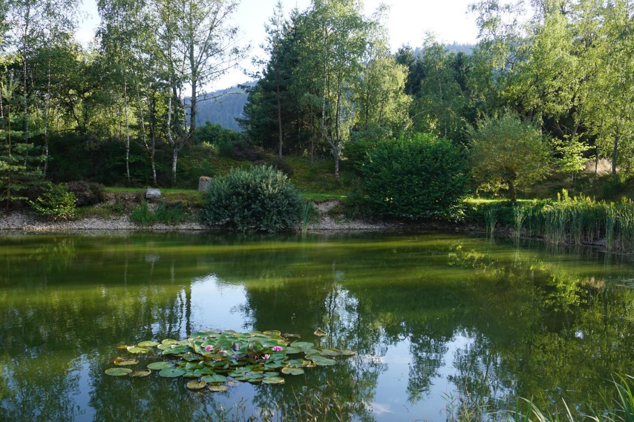 La Maison Et L'Etang - Grand Terrain Prive Vagney Exterior foto